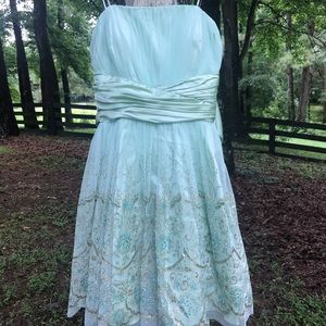 Short Prom/Fancy Dress